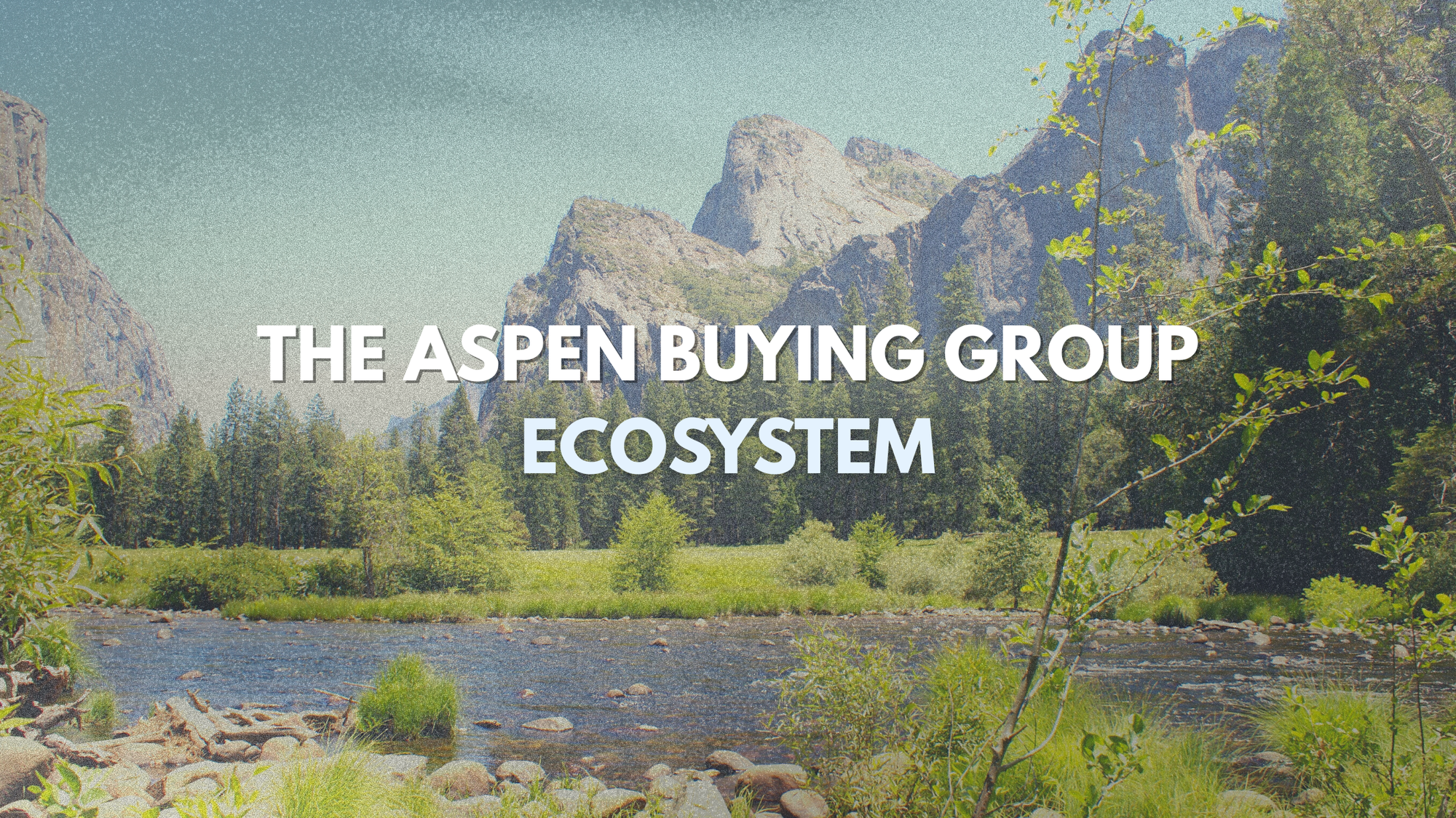 The Aspen Buying Group Ecosystem